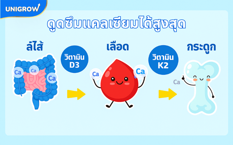 เสริมวิตามิน D3,K2 ช่วยให้เด็กเพิ่มความสูงถึงขีดสุด